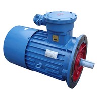 DSB series explosion-proof motor