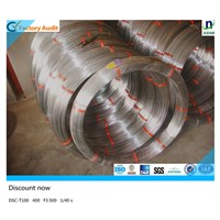 Galvanized Oval Wire