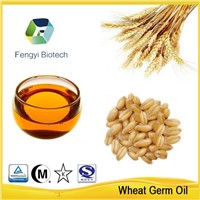 wholesale suppliers direct supply bulk wheat germ oil with best price rich in Vitamin E