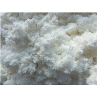 High quality nitrocellulose for paints or ink(H)