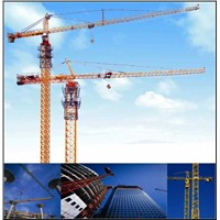 Lifting Equipment Tower Crane Qtz50 (4810) Made in China