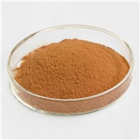 Natural Plant Extract Maca Extract Macamide