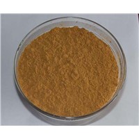 25% gymnemic acids CAS No 90045-47-9 Gymnema sylvestre extract