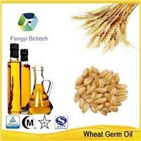 100% fresh wheat germ oil with best price from wholesale suppliers