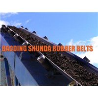 High Quality Conveyor for Coal Mining, Cement Plant