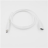 USB 3.1 C Type to USB 2.0 AM Cable with Simultaneously  Data and Charge