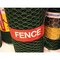 Pvc Hexagonal wire mesh