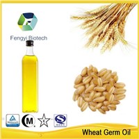 2015 hot sale fresh wheat germ oil with best price made in China