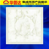 Rolling Stone Transfer Series Decorative Ceiling Tiles (HT-557)