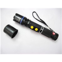 2010 stun guns/ police flashlight/ riot flashlight