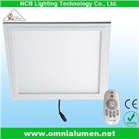 Wholesale Square LED Panel Light (BP606036W)