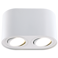 surface mounted ceiling light  2 spot ceiling downlilght wall light