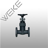 Forged steel bellows seal globe valve