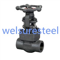 Bolted Bonnet Forged Gate Valve