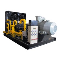 Well-Head Gas Recovery Compressor