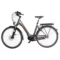 36V 250W 8 FUN Mid Driving Motor Electric City Bike/Bicycle