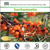 Sea Buckthorn Extract In Cosmetics Isorhamnetin Powder 20%