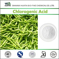 Skin Whitening Herbal Plant Powder Chlorogenic Acid 98%