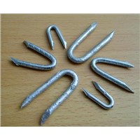 U Type Nails  2.5mm-4.1mm