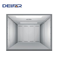 Delfar cheap and comfortable freight elevator