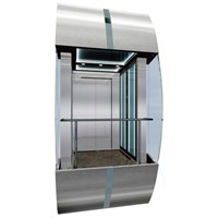 Good quality and best price of pbservation elevator