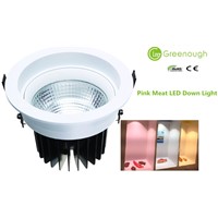 Pink LED Down Light/Fresh Meat LED Food Lighting/Ceiling COB LED Downlight For Rosewood Funiture