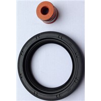 Tc Oil Seal