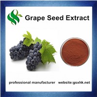 100% Pure Natural Grape Seed Extract