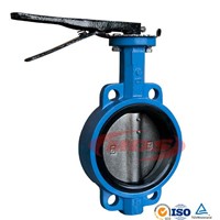 High quality ductile iron corrosion resistant butterfly valve