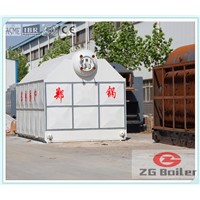 DZL Series Packaged Boiler in Palm Butter Industry