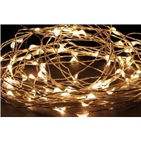 33Ft 100 LED Copper Wire string lights LED Fairy Lights
