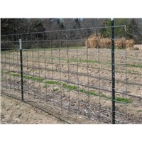 Solid Steel Pole For Cattle Fence Enclosure
