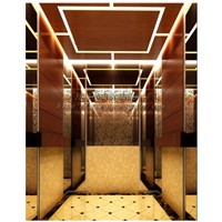 Delfar cheap and with good quality passenger elevator