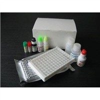 Elisa Test Kits for HCV HBsAg TP HIV