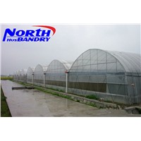 twin-wall polycarbonate sheet -green house materials