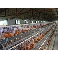 3 tiers or 4 tiers farm chicken cage Poultry Farm Equipment in Kenya and Nigeria