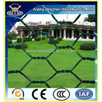 Europe Best Selling PVC Coated Hexagonal Wire Mesh Hot Sale