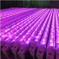 T8 LED Grow Tube Light for Plant