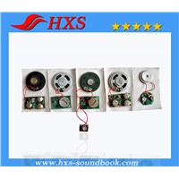 China Export Electronic Greeting Card Sound Chip
