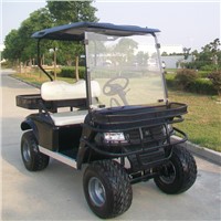2 / 4 seater electric hunting car (Dune buggy) with CE