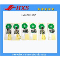 China Export Custom Song Greeting Card Sound Chip