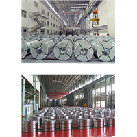 Cold Rolled Steel Coil(soft)