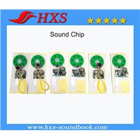 Competitive Price High Quality Greeting Card Sound Module