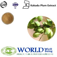 High Quality Organic Plum Fruit Extract Plum Powder Free Sample Kakadu Plum Extract Powder