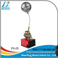 FS-10 solenoid valve for steam iron