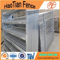 Galvanized Pipe Livestock Metal Corral Fence Panels For Horses