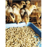 Feed Grade Calcium Sulfate. Gypsum