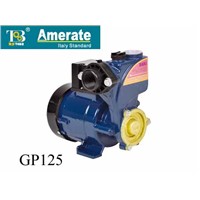 GP125 self-priming Peripheral Pump