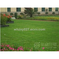 Agricultural Gypsum Used for Soil Improvement