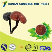 Free sample Chaga Mushrom extract/Polysaccharide/Mushroom extract/Trierpene/Anti-tumours